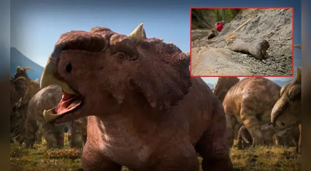 Aún hay un kilómetro entero lleno de huesos por investigar.