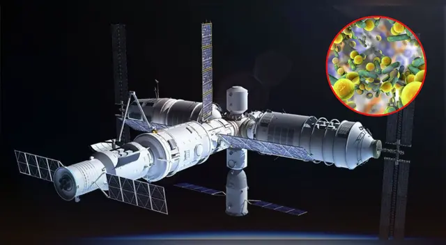 Niallia tiangongensis: la superbacteria espacial descubierta por científicos chinos.