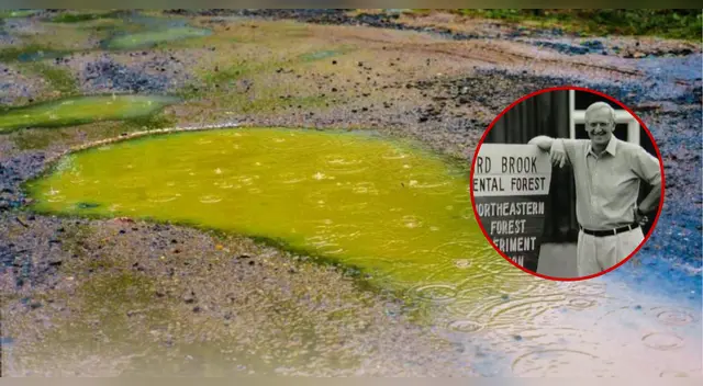 El experimento que comprobó que la lluvia también podía contaminar.