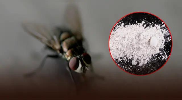 Una solución eficiente contra la adicción.