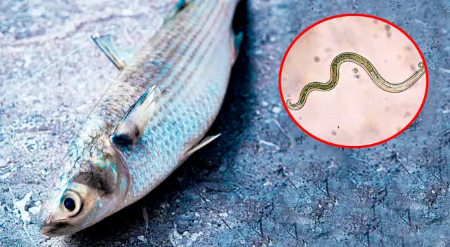 Retiran del mercado estos pescados en California.