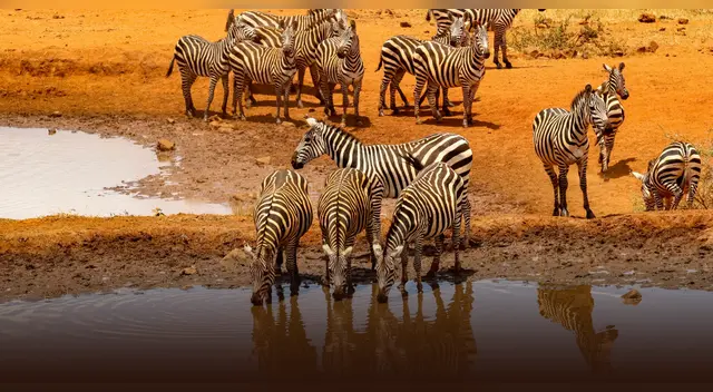 Científicos detectan anomalía geológica que podría dividir África.