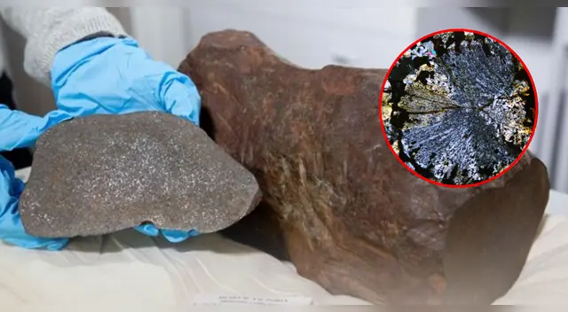 El hallazgo sorprendió a los científicos.