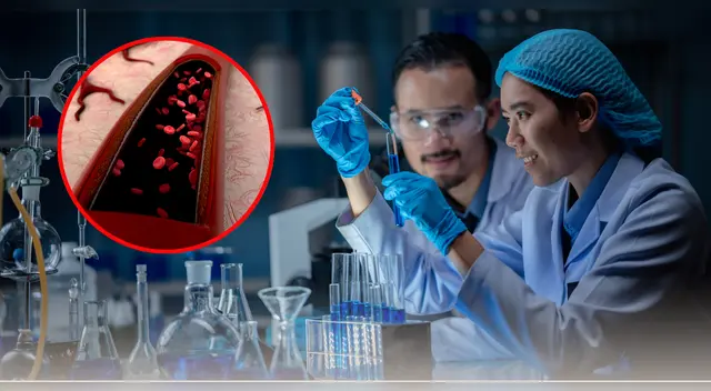 Científicos logran la creación de vasos sanguíneos con inteligencia artificial.