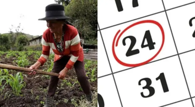 ¿Confirman feriado o día no laborable este 24 de junio por el Día del Campesino? Esto señala El Peruano