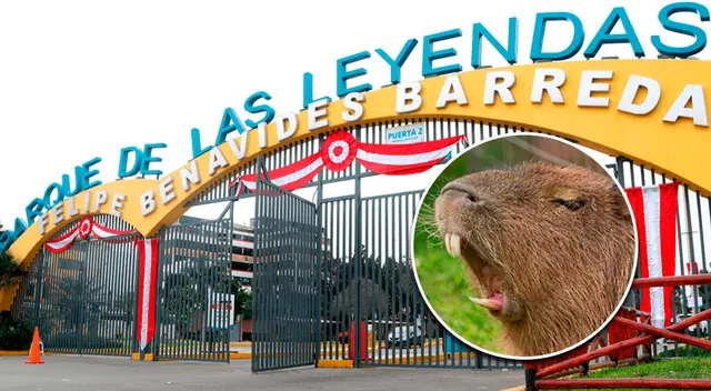 Conoce quiénes pueden acceder a las entradas gratis del Parque de las Leyendas. Conoce quiénes pueden acceder a las entradas gratis del Parque de las Leyendas.