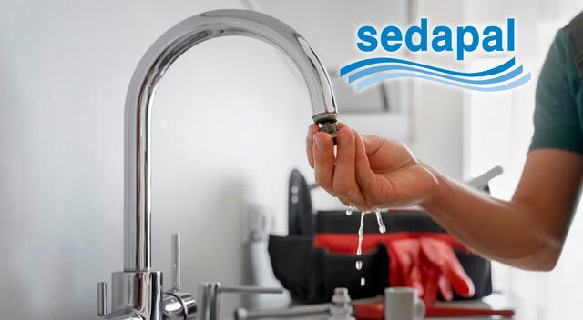 Sedapal Sedapal