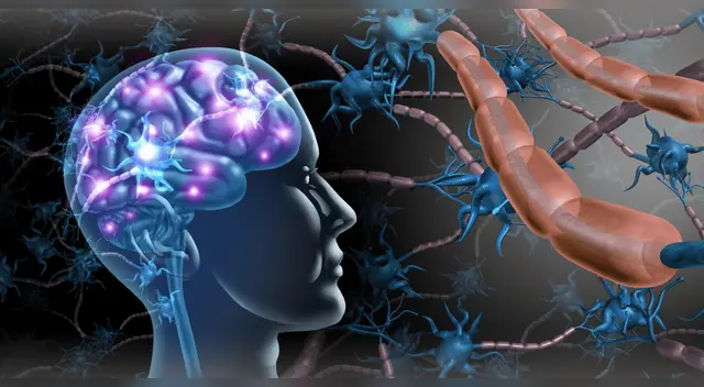 ¿Es posible revivir las memorias después de morir? Un experimento revela lo que pasa segundos después.