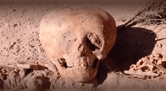 Extraños cráneos alargados en Sudamérica eran resultado de prácticas culturales.