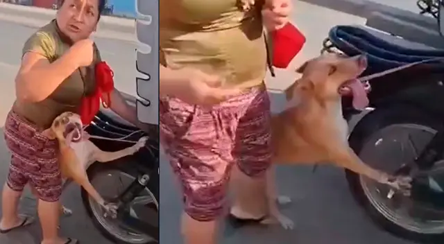 Perrito es atado y arrastrado en una mototaxi.