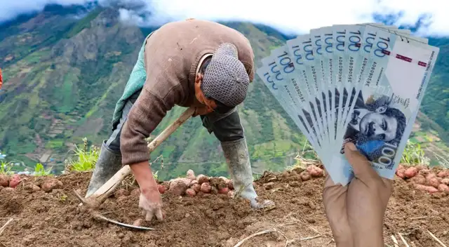 De acuerdo con lo indicado en el Decreto de Urgencia Nº 003-2025, se viene entregando un subsidio especial de S/1.000 a miles de peruanos por parte del MIDAGRI. Aquí los detalles.