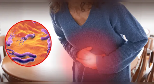 Esta es la bacteria peligrosa asociada al cáncer de estómago, según científicos. Esta es la bacteria peligrosa asociada al cáncer de estómago, según científicos.