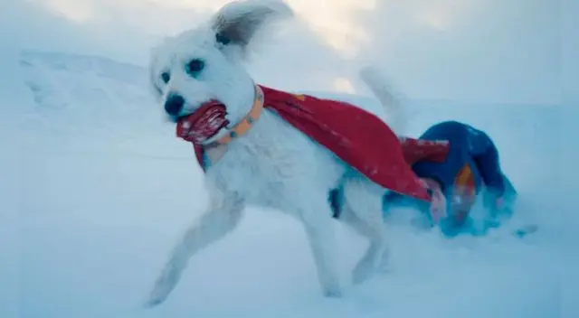Krypto hará su primera aparición en películas live action de Superman. Foto: DC Studios