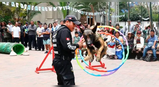ESPECTACULAR show GRATUITO de la brigada CANINA de Miraflores por Fiestas Patrias