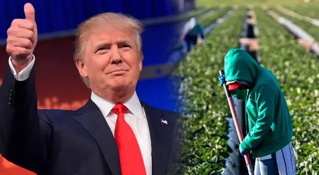 Donald Trump eliminará estos beneficios para indocumentados. Donald Trump eliminará estos beneficios para indocumentados.