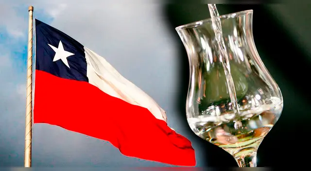 Corte de Delhi valida denominación de origen del pisco chileno tras años de disputa