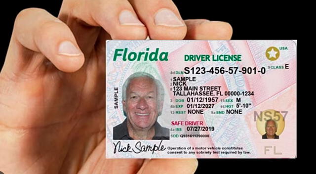licencia de conducir Florida licencia de conducir Florida