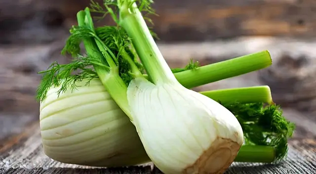 Aprende todo sobre el hinojo y sus beneficios digestivos, respiratorios y antiinflamatorios.