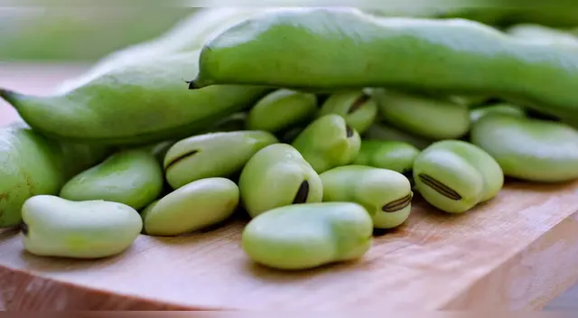 ¿Cuáles son las propiedades curativas de las habas? Científicos revelan sus beneficios