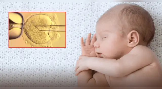 ¿Cómo funciona la nueva técnica de fertilidad?