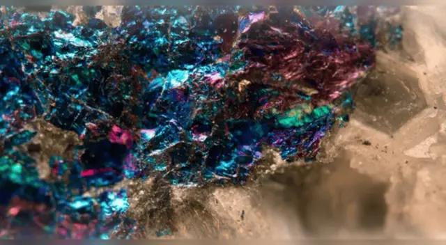 Encuentra piedras fluorescentes tras plantar un árbol y el museo se las confiscó: "me dijeron que era por el bien de la ciencia".