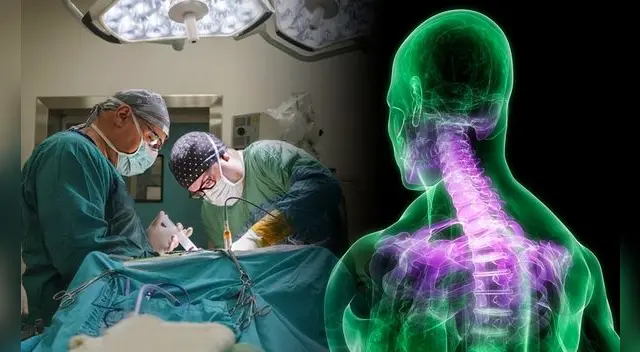 La columna vertebral con IA que ayudará a las personas a volver a caminar.