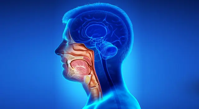 Día Mundial contra el Cáncer de Cabeza y Cuello: el enemigo silencioso que podría estar en tu cuerpo