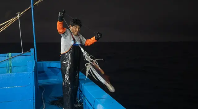 ¿Qué pasa en el mar peruano? Perú activa la Operación Calamar Gigante III tras alerta biológica