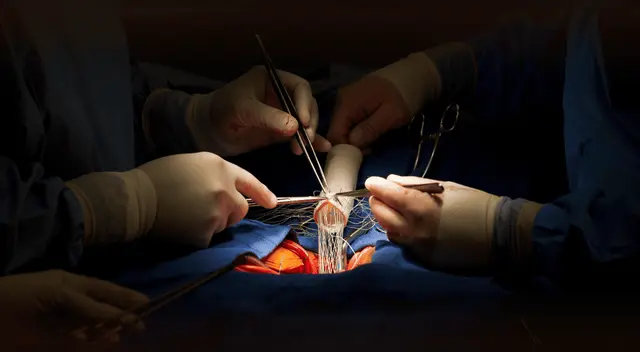 Científicos chinos descubren cuál es el órgano que envejece primero. Científicos chinos descubren cuál es el órgano que envejece primero.