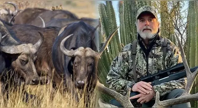 El estadounidense Asher Watkins murió tas ser atacado por un búfalo sudafricano durante un safari