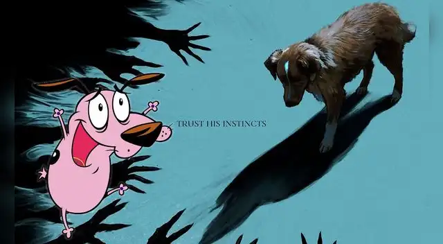 'Good Boy' no tiene fecha de estreno en Latinoamérica. Foto: Shudder 'Good Boy' no tiene fecha de estreno en Latinoamérica. Foto: Shudder