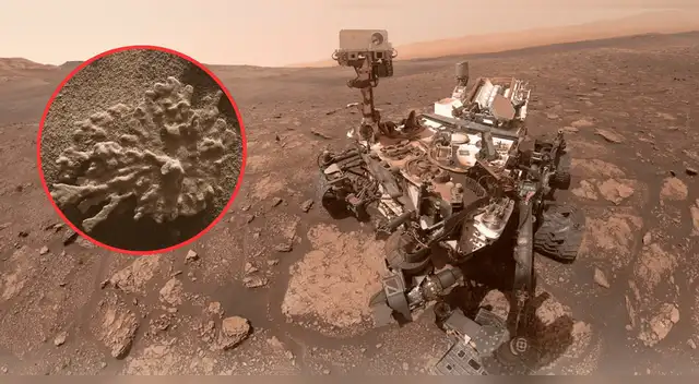 Curiosity cumple 13 años de exploración en Marte: la NASA celebra con hallazgo inesperado. Curiosity cumple 13 años de exploración en Marte: la NASA celebra con hallazgo inesperado.