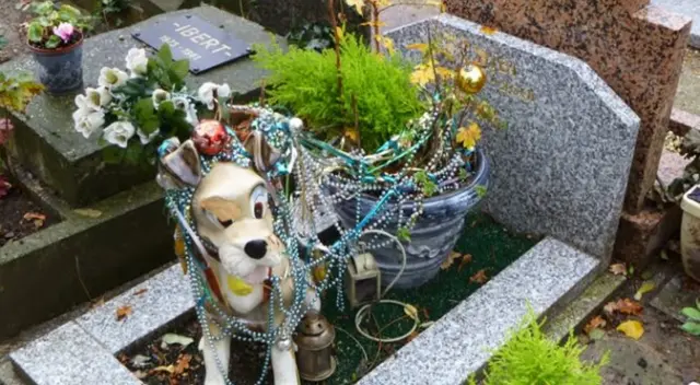 Iquitos abrirá el primer cementerio para mascotas en Perú: prometen precios justos y servicio digno