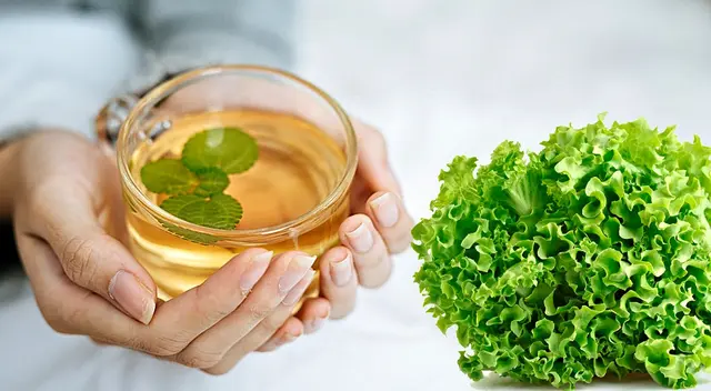 El té de lechuga es un remedio natural que favorece el descanso, calma el sistema nervioso y mejora la digestión.