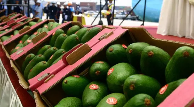 ¡Alerta fronteriza! Bolivia pone bajo la lupa a la palta peruana por niveles peligrosos de cadmio ¡Alerta fronteriza! Bolivia pone bajo la lupa a la palta peruana por niveles peligrosos de cadmio