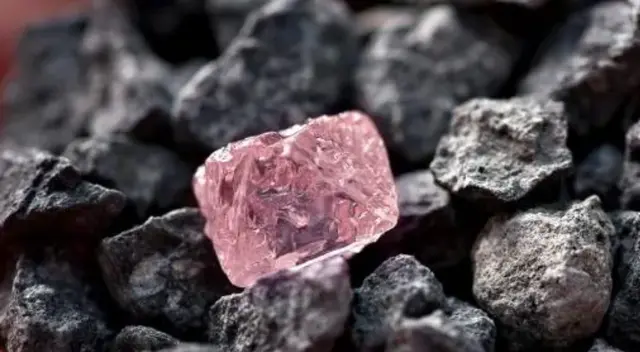 Robaron un diamante rosa valorado en 25 millones de dólares y la policía lo encontró en un refrigerador Robaron un diamante rosa valorado en 25 millones de dólares y la policía lo encontró en un refrigerador