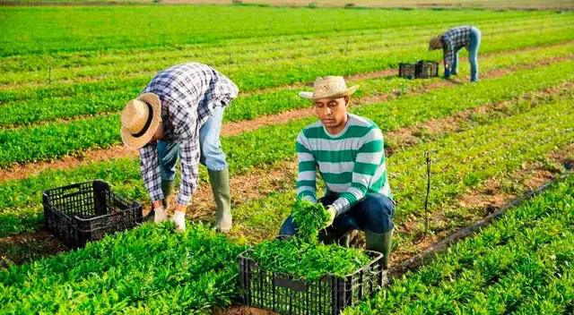 Trabajo de campo en Estados Unidos para migrantes.