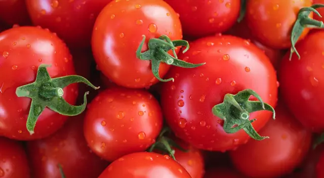 La quiebra en EE. UU. amenaza la estabilidad de dos plantas mexicanas.