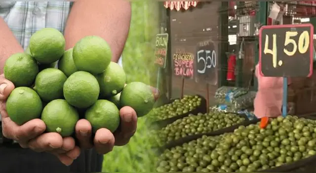 El precio del kilo del limón podría llegar hasta los 10 soles. Precio se regularía en octubre