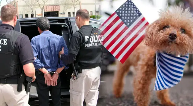 Esto es lo que ocurre con las mascotas de las personas que son deportadas.
