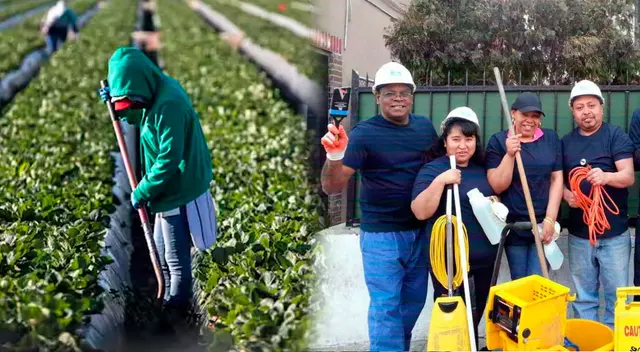 No contratarán a inmigrantes que postulen a estos empleos.