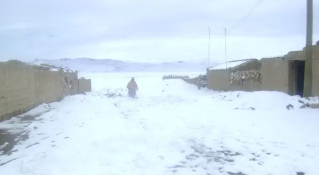 Senamhi advierte: sierra peruana soportará temperaturas polares de hasta -20 °C hasta el 31 de agosto