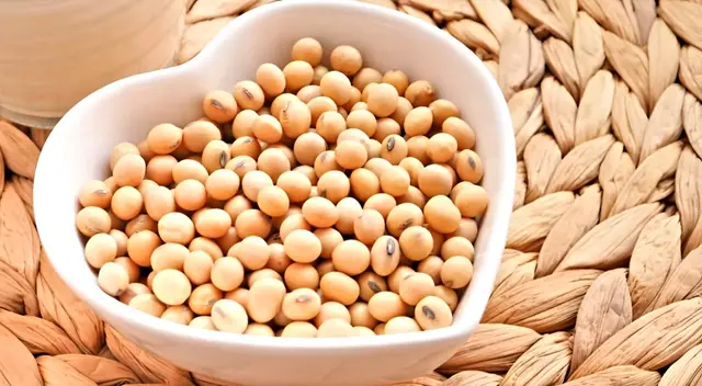 ¿Sabías que la lecitina de soya puede reducir colesterol y mejorar la función cognitiva? Conoce sus propiedades y usos.