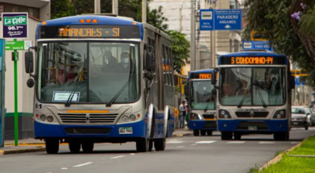 Corredor Azul estrena nueva ruta: marcha blanca inicia este domingo con pasajes a precio especial