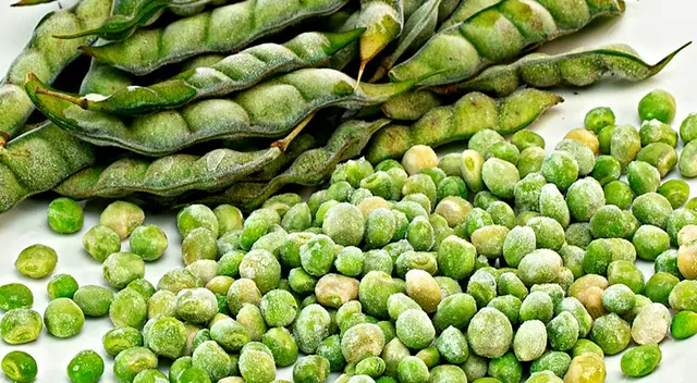 El frijol chivatito, popular en Sudamérica, es fuente de lisina, hierro y calcio. Aquí sus beneficios y consejos para prepararlo. El frijol chivatito, popular en Sudamérica, es fuente de lisina, hierro y calcio. Aquí sus beneficios y consejos para prepararlo.