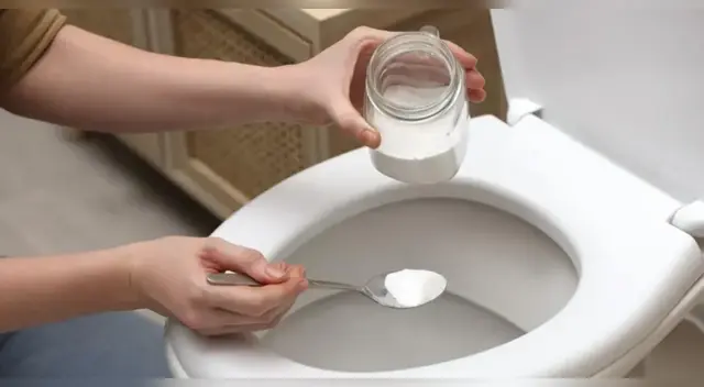 Por qué hay que tirar sal en el inodoro y cada cuánto hacerlo para ahorrar en productos de limpieza