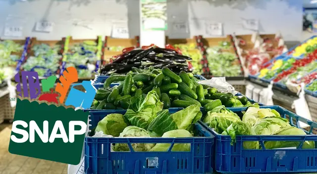 SNAP finaliza gobierno suspenderá tarjeta alimentaria a quienes no cumplan este requisito. SNAP finaliza gobierno suspenderá tarjeta alimentaria a quienes no cumplan este requisito.