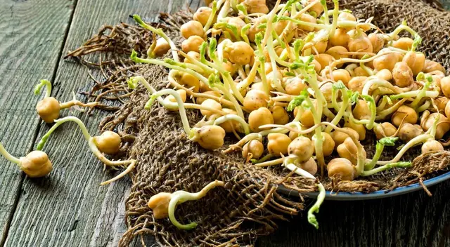 Descubre los beneficios de los alimentos germinados. Descubre los beneficios de los alimentos germinados.