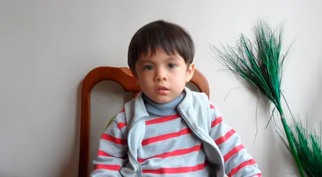 Cómo las experiencias en la infancia moldean el sistema nervioso, según Harvard