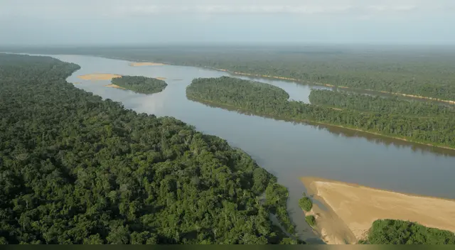 El Amazonas tiene la clave para frenar la próxima pandemia, según científicos. El Amazonas tiene la clave para frenar la próxima pandemia, según científicos.